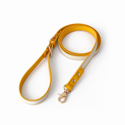 Cenvo leather leash – Amber